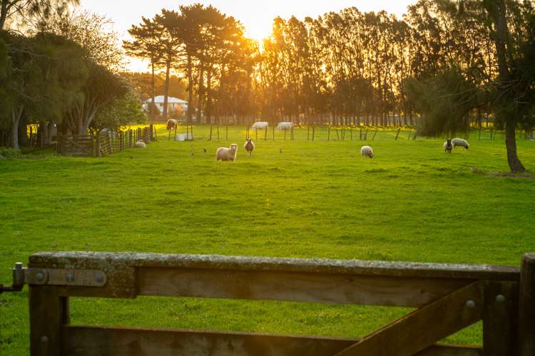 48 Elizabeth Street Waikanae_34