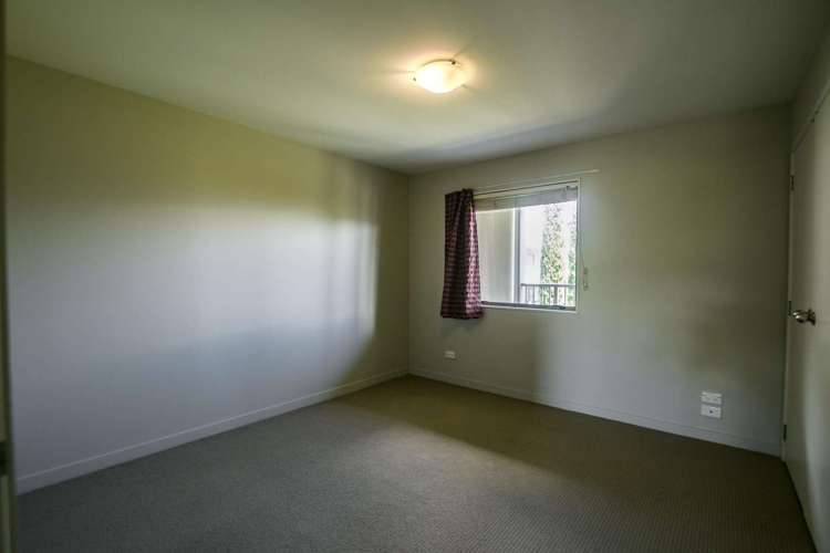 1h/12 Morning Star Place Mount Albert_3