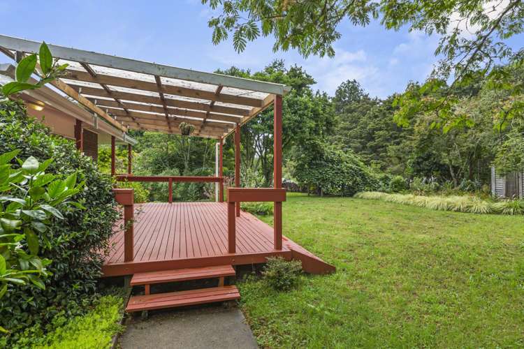 102 Waitetuna Valley Road Raglan_2