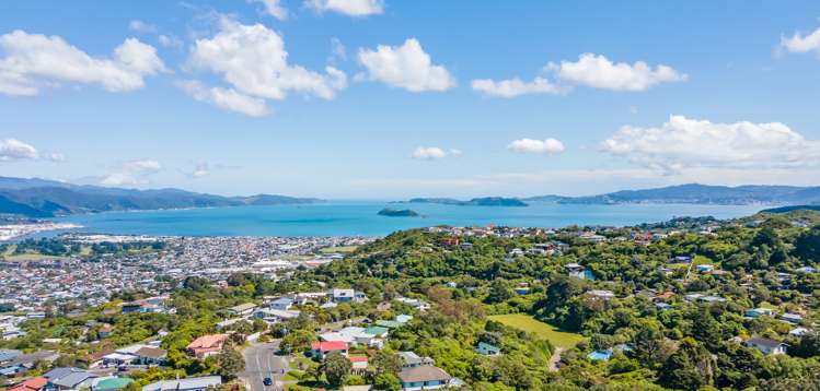 34a Poto Road Normandale_28