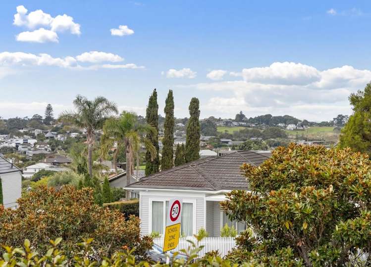 26 Walmsley Road St Heliers_26