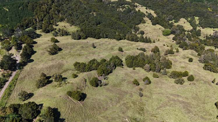 46 Buchanan Road Broadwood_5