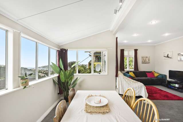 13b Koromiko Road Aro Valley_2