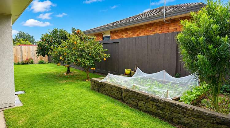 9 Bayfair Drive Mount Maunganui_4