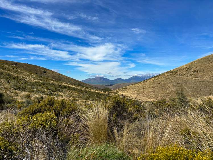 1338 Kakapo Road Te Anau Surrounds_19