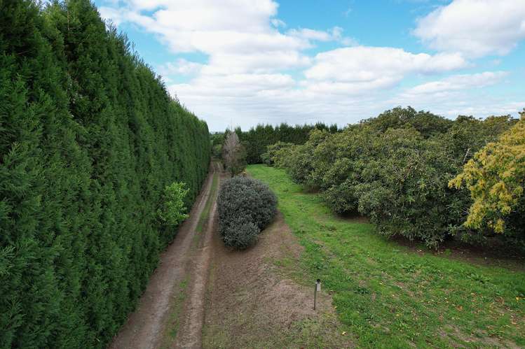 192 Woodland Road Katikati_14
