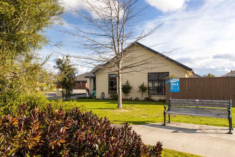 2 Korari Grove Redwoodtown_28