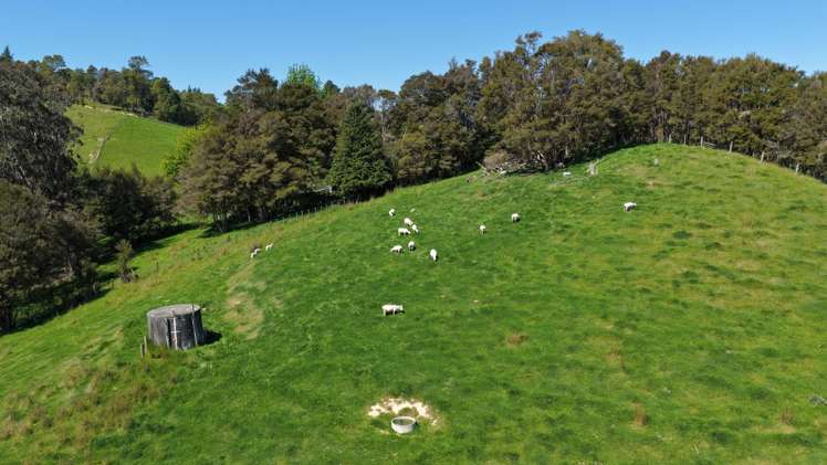915 Thorpe-Orinoco Road, Dovedale Ngatimoti_37