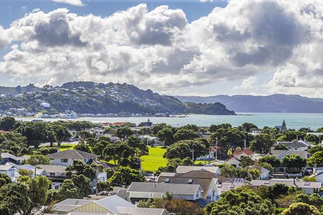 49 Mantell Street Seatoun_3