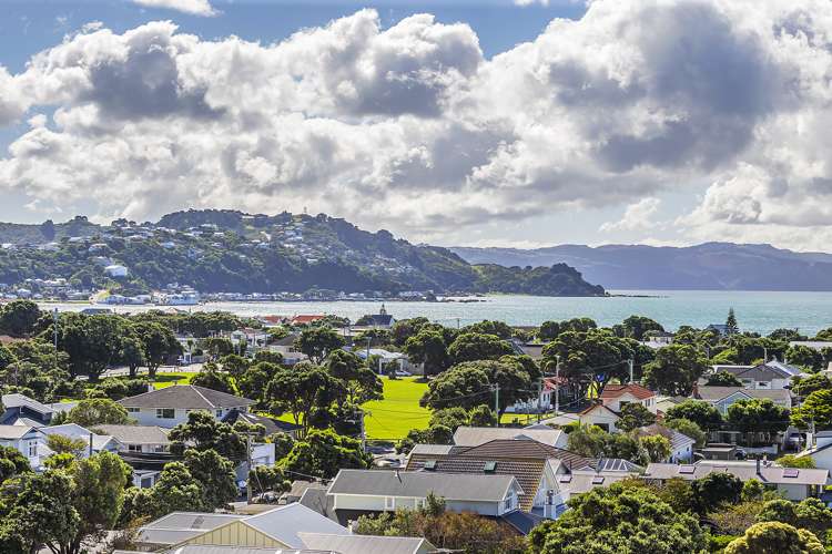 49 Mantell Street Seatoun_3