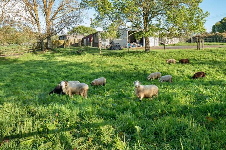 89 Fullerton Road Rotokauri_36