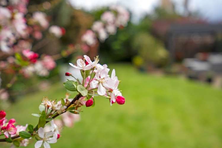 13 Kereru Street Maunu_33