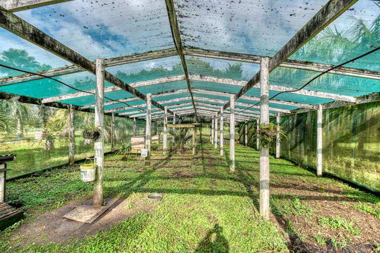 1081 Oruru Road Peria_31