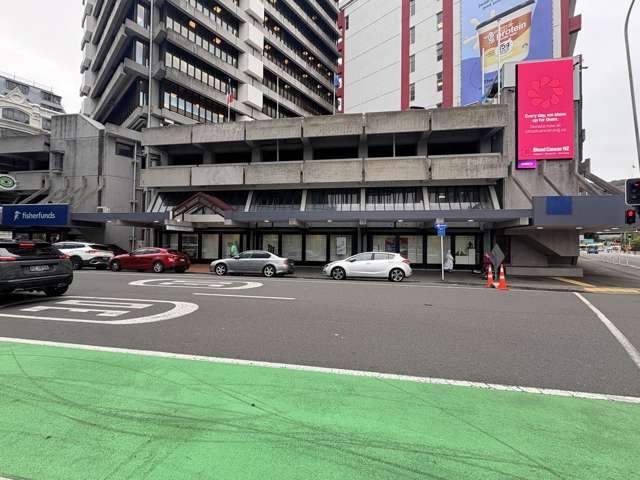 Ground 1/22 Ballance Street Wellington Central_4