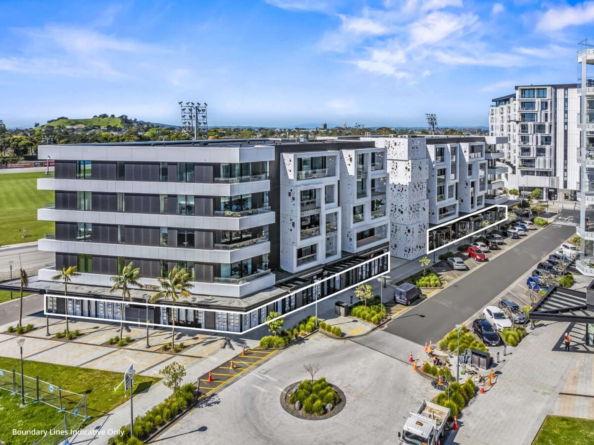 223 Greenlane West Epsom_0