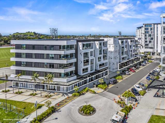 223 Greenlane West Epsom_4