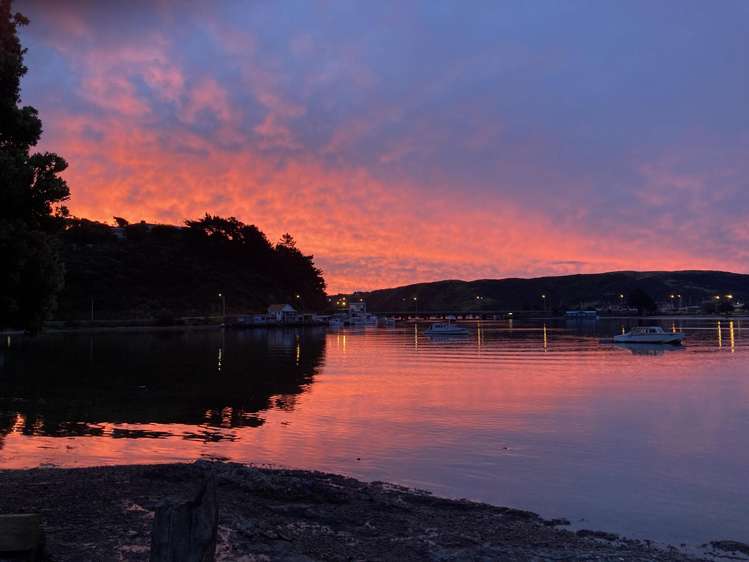 55 Paremata Road Paremata_41