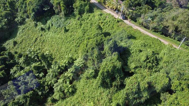 Address withheld Maui Bay Estate_15
