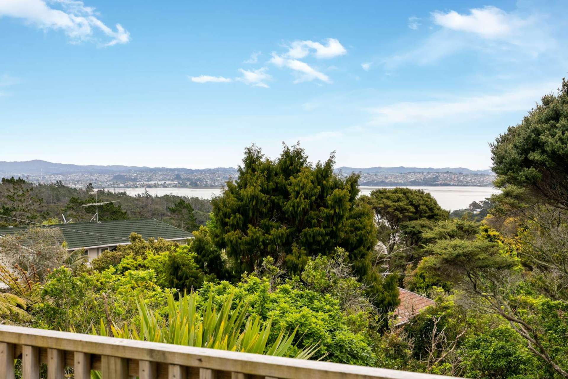 2/23a Balmain Road Birkenhead_0