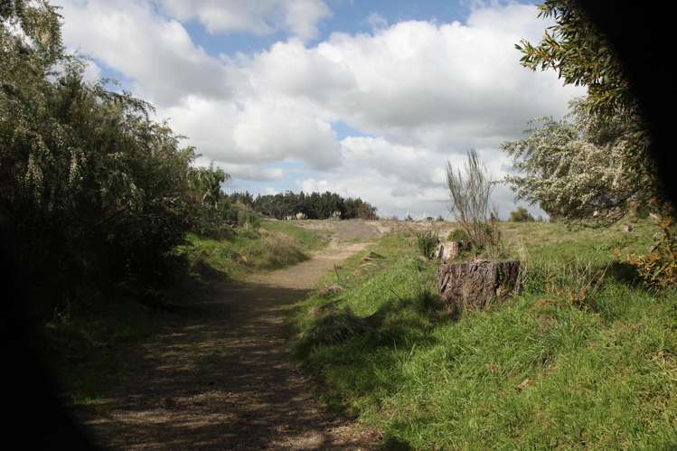 66 Palmer Road Foxton Beach_55