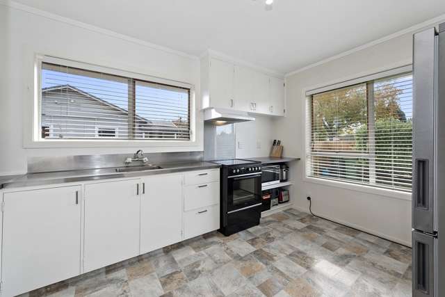 61 Brookfield Street Hamilton East_3