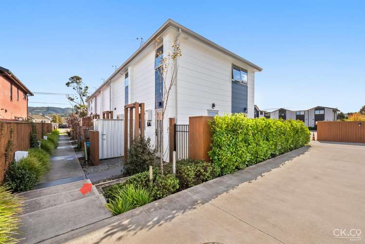6/318 Oxford Terrace Avalon_14