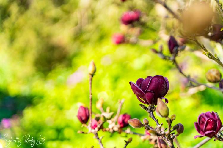 12 Cliff Street Paparoa_39