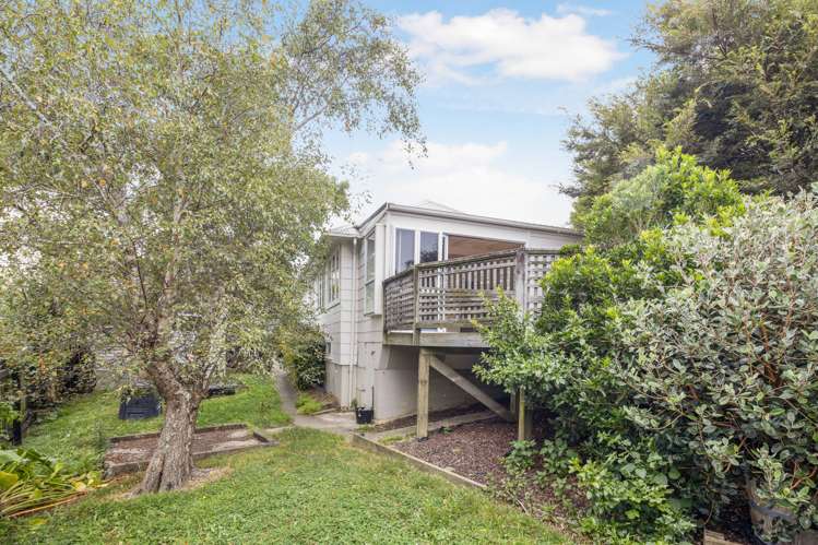 12 Stephen Street Johnsonville_10