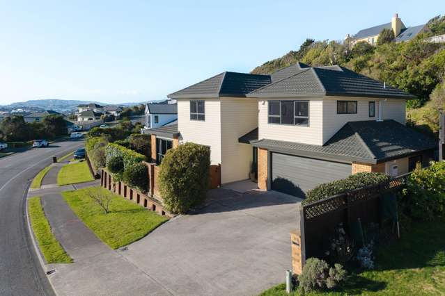 117 Woodman Drive Tawa_1