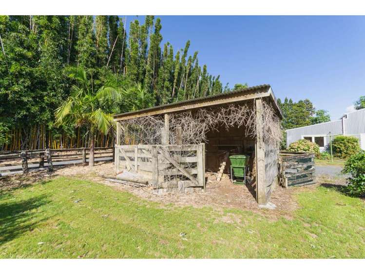 50a Equestrian Drive Kerikeri_22