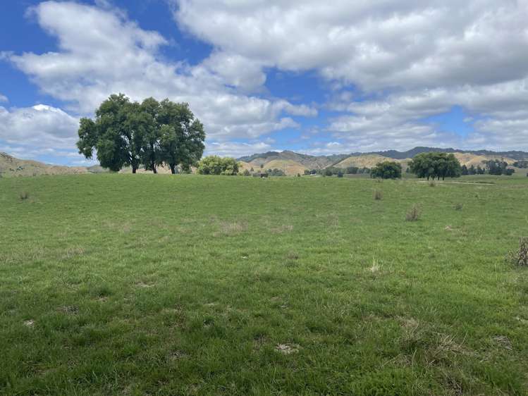 921 Ohura Road Aria_21