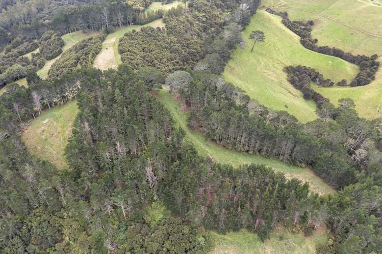 61 Spikes Way Whitianga_32