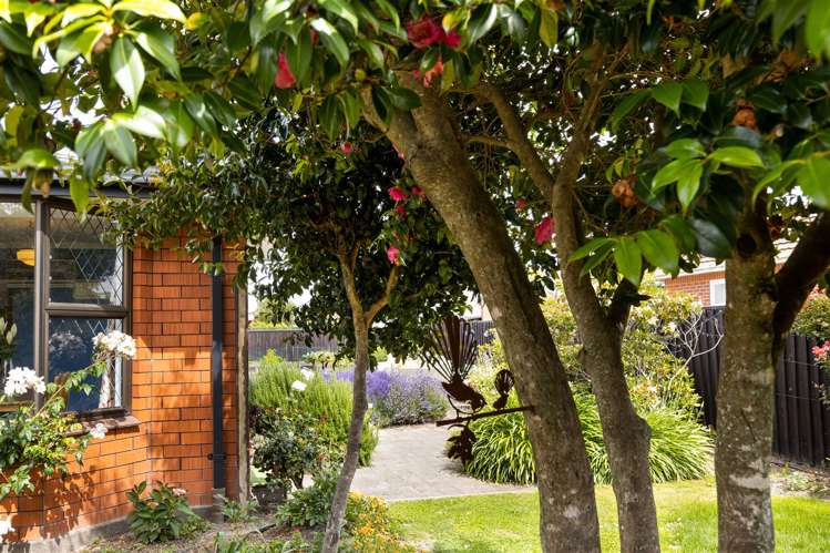 17 Murphys Road Springlands_21