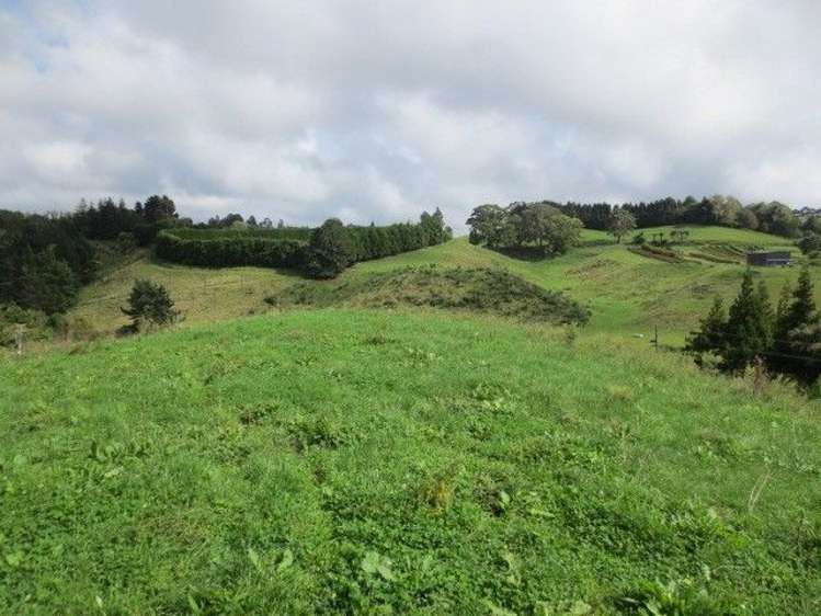 392 Old Highway Whakamarama_2