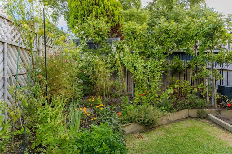 20 Governor Grey Road Snells Beach_35