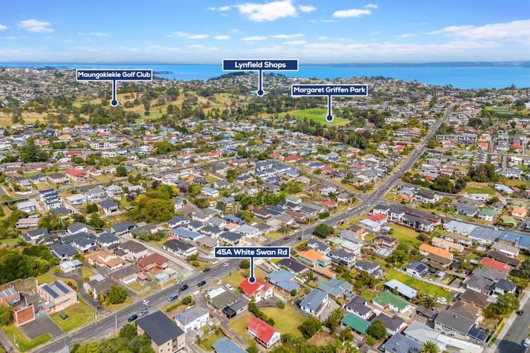 45a White Swan Road Mount Roskill_3