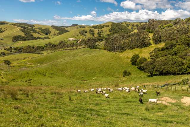 523 Orapiu Road Waiheke Island_1