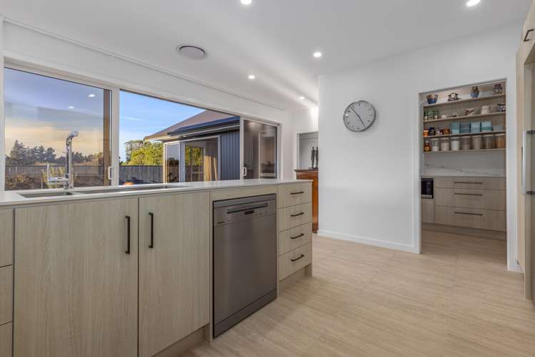25 Phoenix Palms Grove Levin_1