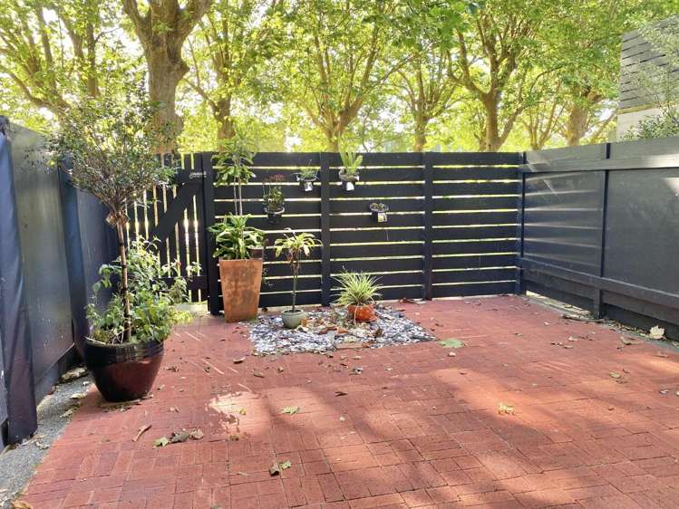 8/145 Howe Street Freemans Bay_8