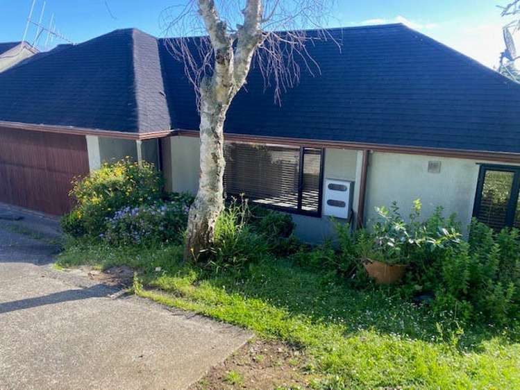 40b Ellis Avenue Mount Roskill_0