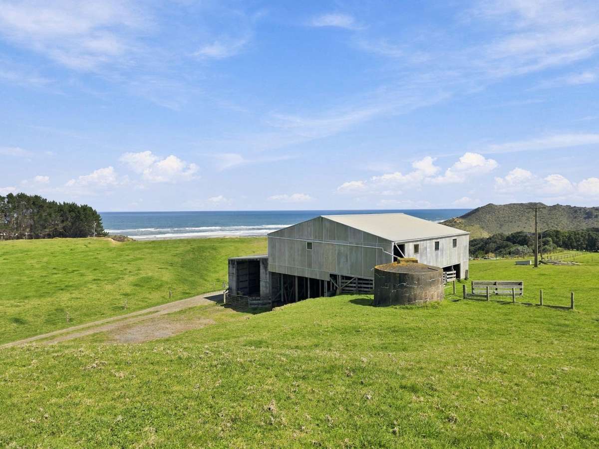1117 Omamari Road_4