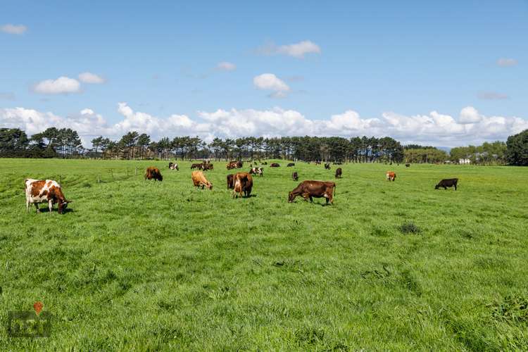 150 Himatangi Beach Road Himatangi_10