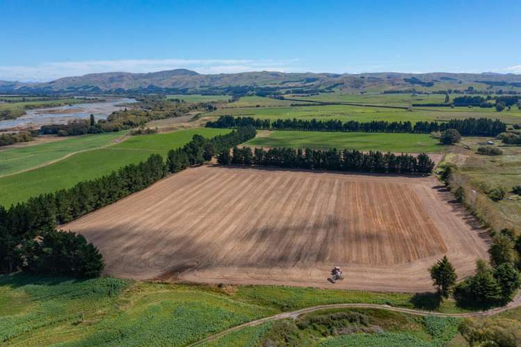 359 Hurunui Mouth Road Domett_45