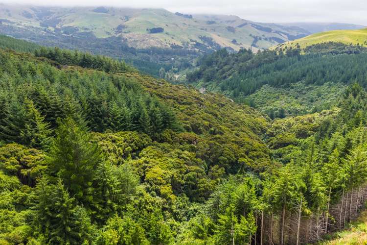 226 Middle Road Pigeon Bay_11