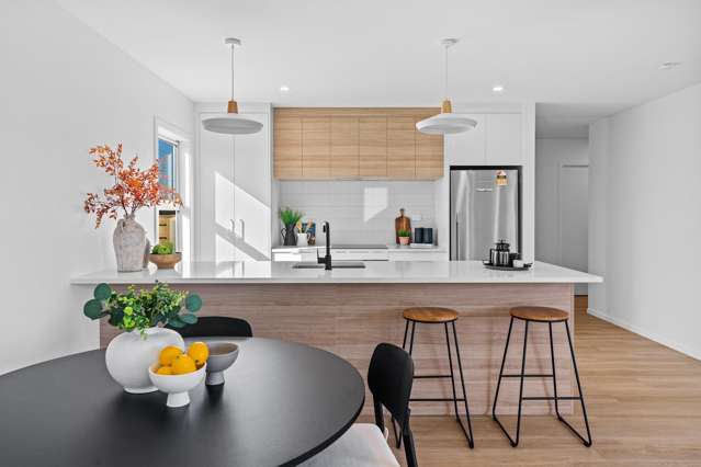 40a South Belt Solway_4