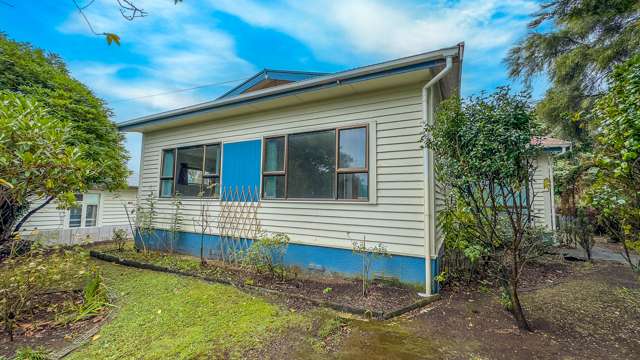 51 Arapuni Street Putaruru_2