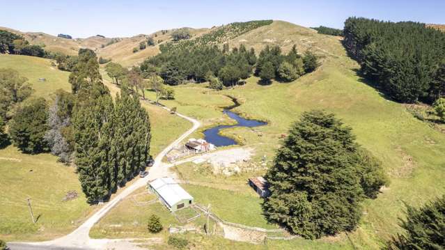 247 South Road, Mauriceville Masterton_1