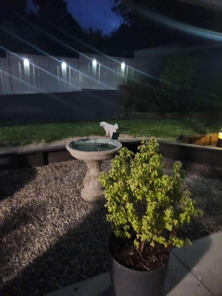 46B Edward Street Pahiatua_19