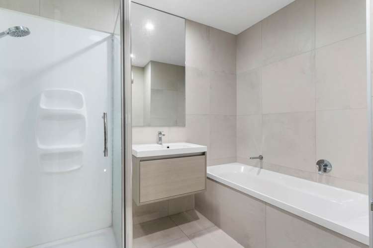 16 Rorida Lane Flat Bush_9