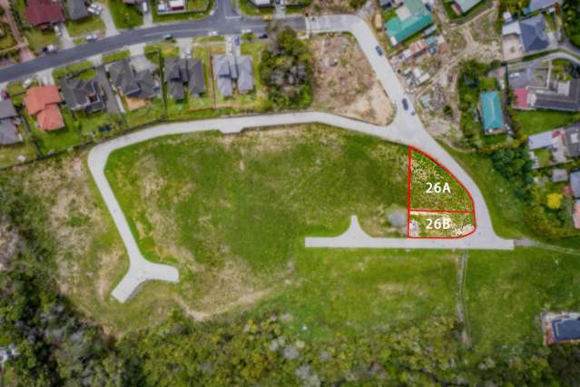 Prime Development Opportunity in Massey!